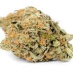 Animal Cookies Weed UK