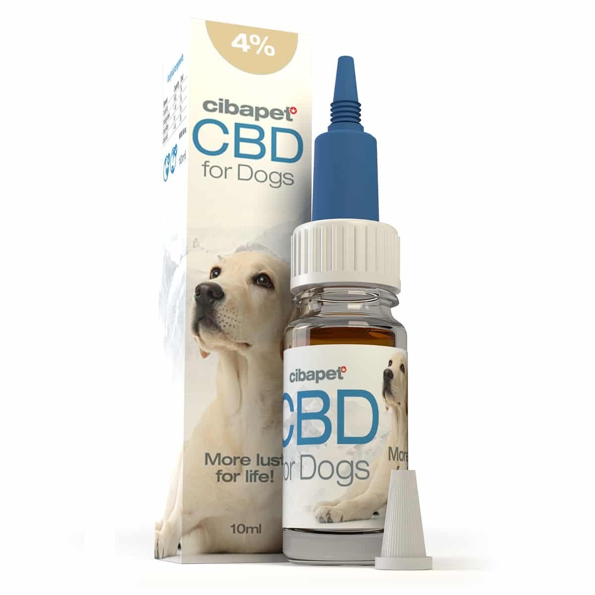 Buy Cibapet CBD oil 4% for dogs UK