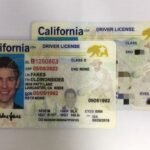 Buy Fake Californian Drivers License