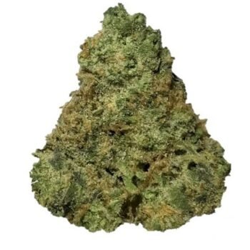 Buy Ice Cream Cake Weed UK