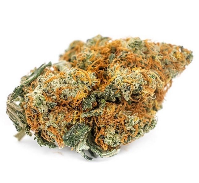 Buy Mataro Blue (A) UK