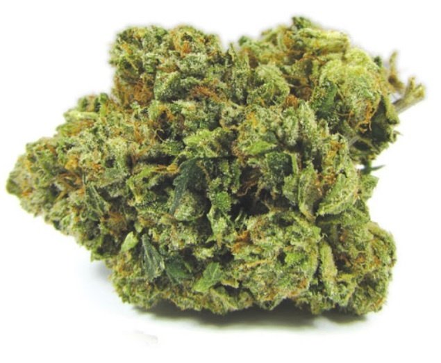 Canna Sutra Strain UK