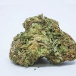 Cataract Kush Strain UK