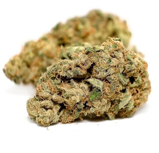 Charlotte’s Web Marijuana UK