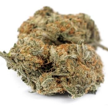 Diablo Weed Strain UK