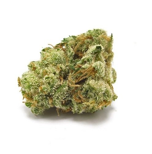 G-13 Haze UK