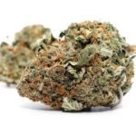 Ice Wreck Weed Strain