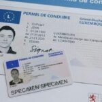Buy Real Driving License of Luxembourg