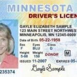 Buy Minnesota Driver License and ID Cards