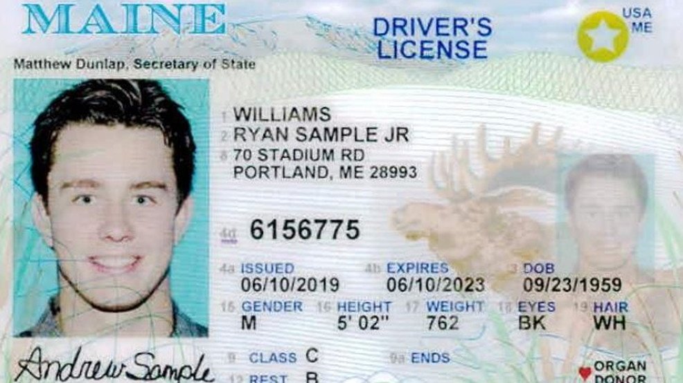Buy Maine Driver License and ID Cards