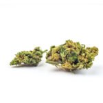Marley Black Indica