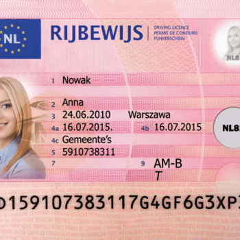 Buy Real Driving License of Netherlands