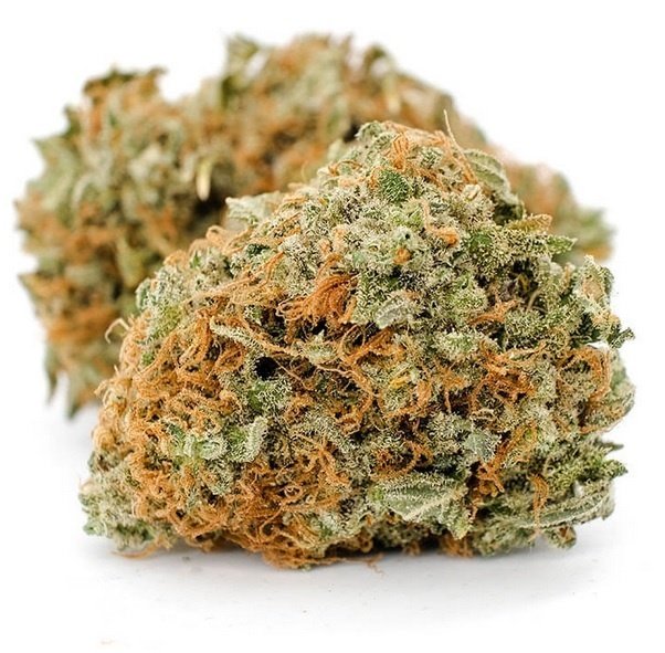 Northern Lights Strain Uk