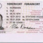 Buy Fake Driver’s License of Norway