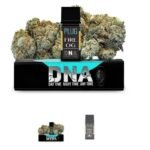 PLUGPlay DNA FireOG Vape 1G Cartridge UK