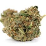 Pink Death Marijuana UK