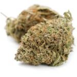 Purple Candy Weed UK