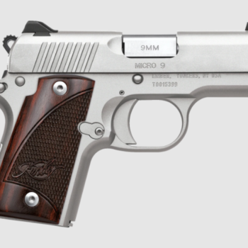 KIMBER MICRO 9 STAINLESS
