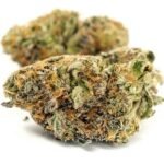 Sherbet Weed Strain UK