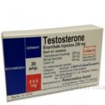 Buy Testosterone Enanthate Rotexmedica
