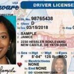 Buy Colorado Driver License and ID Cards