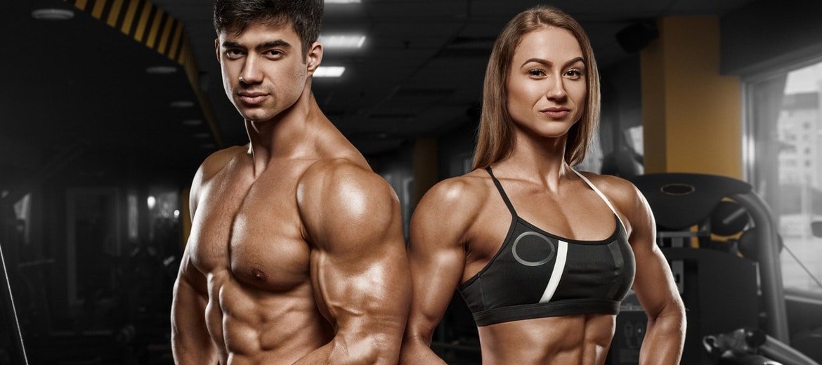 Buy Professional Bulking Cycle – Xtreme Off the season Gains