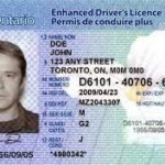 Buy Fake Canadian drivers license online