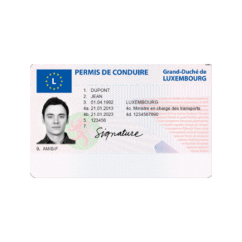 Buy Fake Driver’s License of Luxembourg
