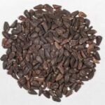 Morning Glory Seeds (LSA Seeds)