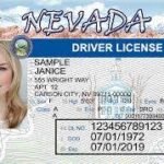 Buy Nevada Driver License Licenses and ID Cards