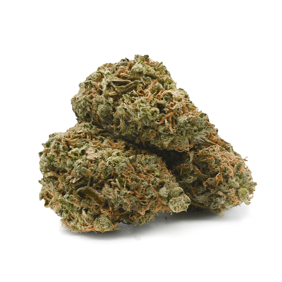 Citrus Skunk (AAAA) - Image 2