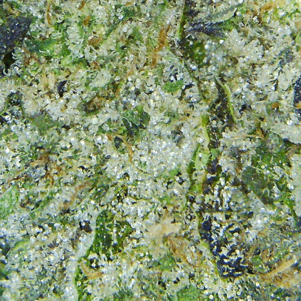 DEATH BUBBA (AA) OUNCE - Image 3