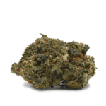 Purple Zombie (AAAAA)