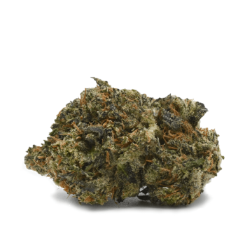 Purple Zombie (AAAAA)