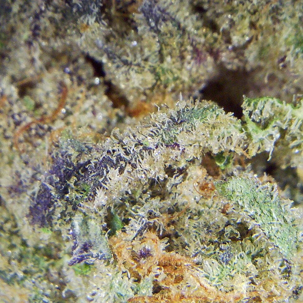 LA Kush Cake (AAAAA) - Image 2