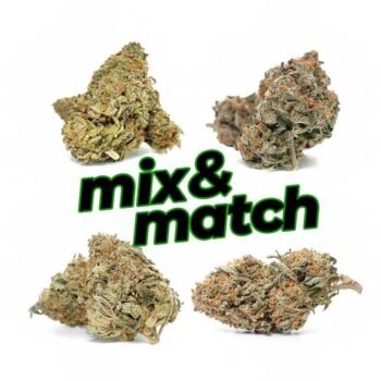 1 Ounce Mix and Match (AA)