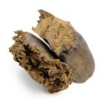 Tesla Hash (AAAAA)