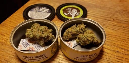 Buy Space Monkey Meds Online - Image 2